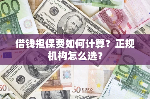 济南借钱担保费如何计算？正规机构怎么选？