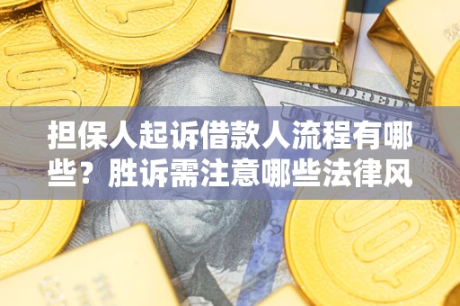 济南担保人起诉借款人流程有哪些？胜诉需注意哪些法律风险？